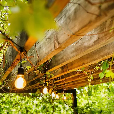 Peroj's Oasis - Peroj