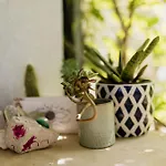 Peroj's Oasis - Prázdninový dům